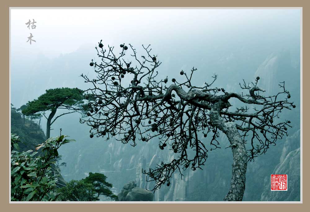 三清山风光（9） 摄影 湖水清清