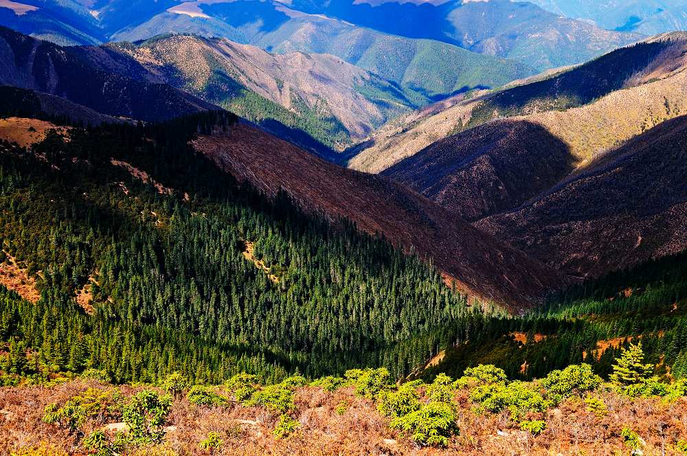 大山 摄影 弈天