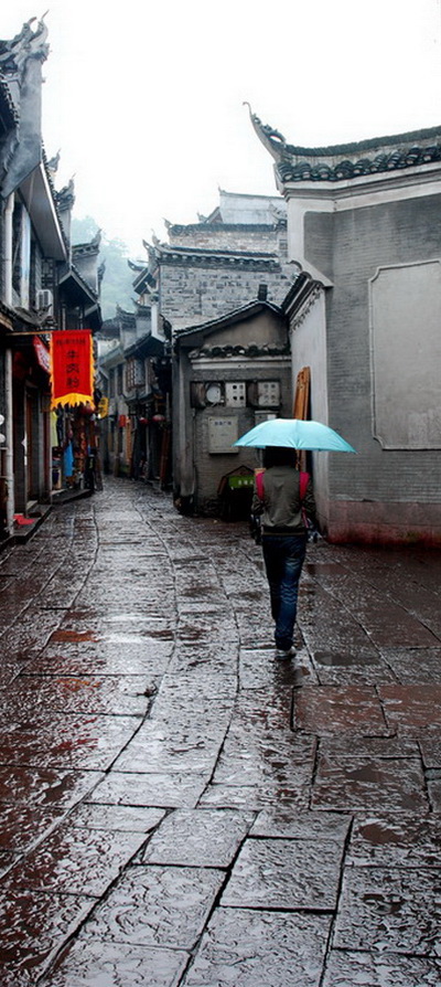 在雨中 摄影 秦岭骆驼