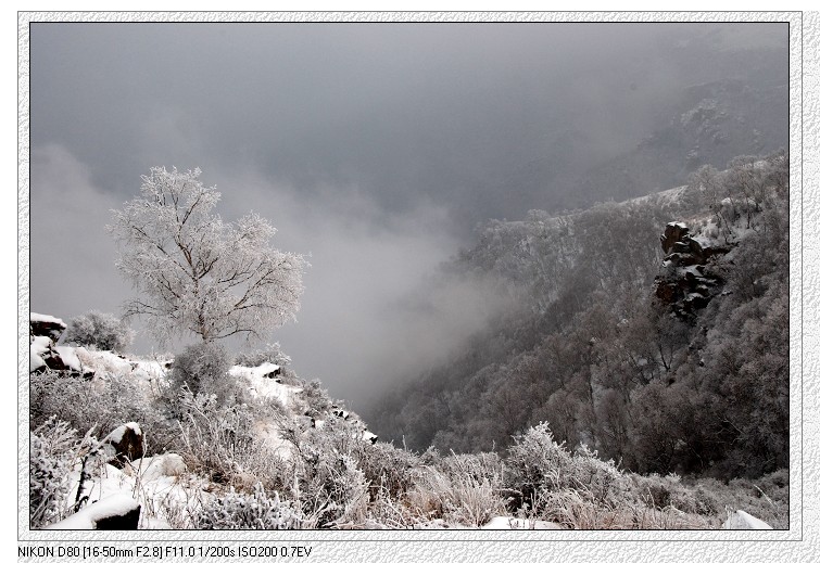 冰雪天地之“险峰俯览” 摄影 草原独行