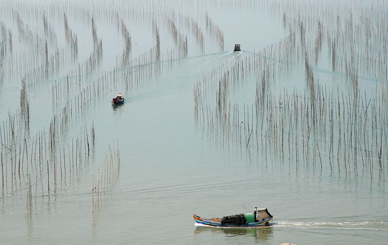 霞浦的那片海 摄影 小城流浪者