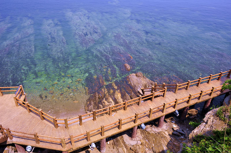 烟台海边 摄影 水清木华