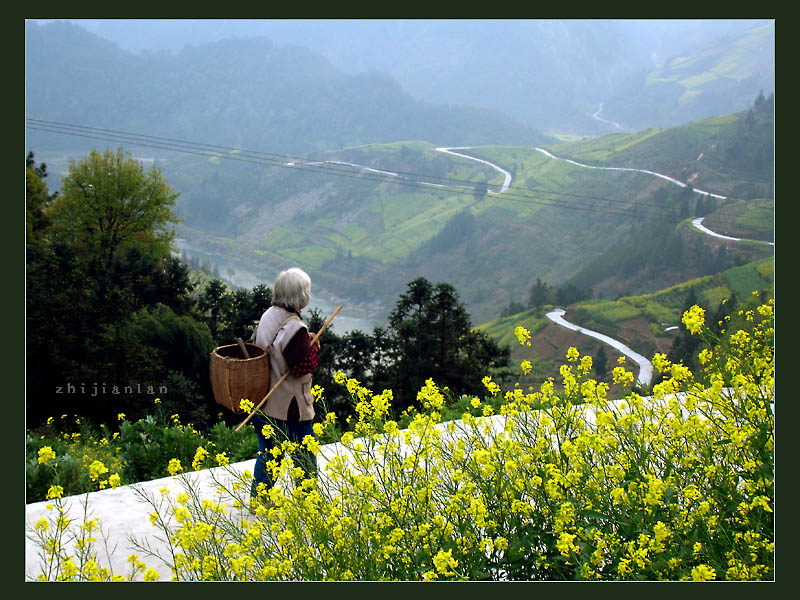 走在山路上的老人 摄影 指间.蓝