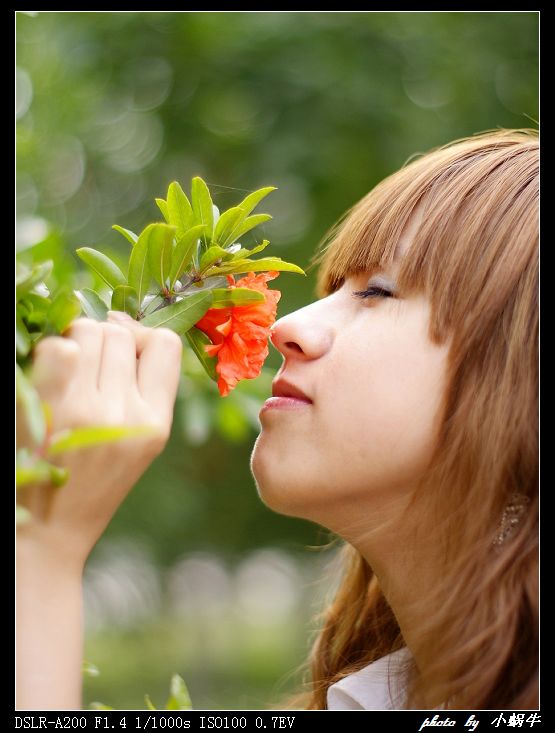 花香 摄影 颩继續欥