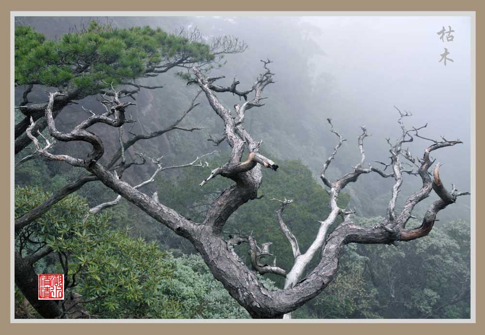 三清山风光（10） 摄影 湖水清清