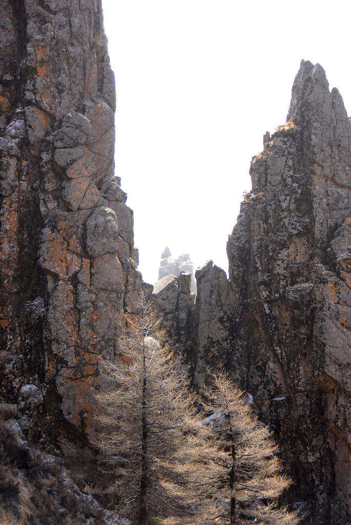 奇峰 摄影 山岗