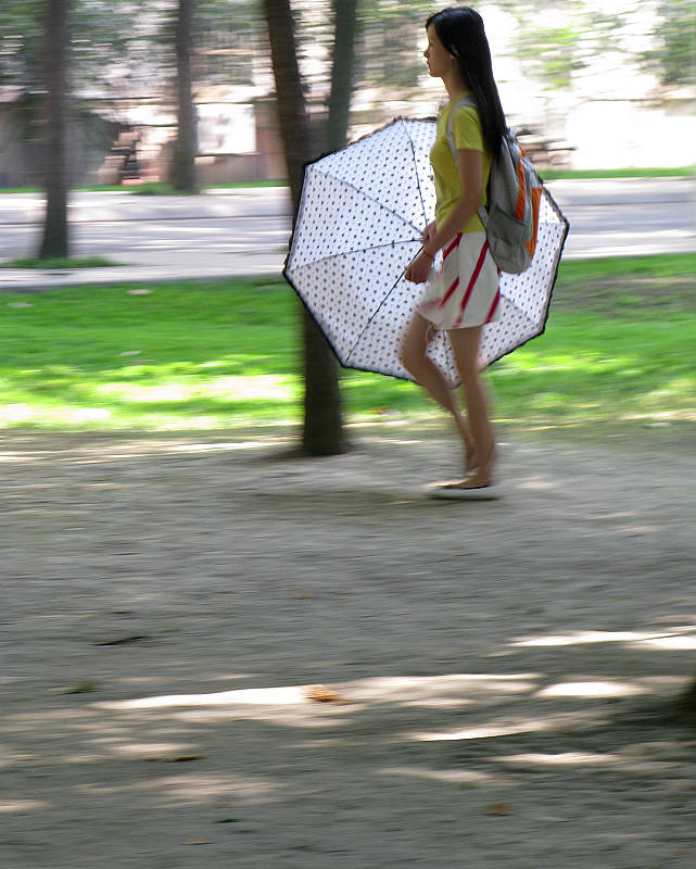 林荫下路过的女孩 摄影 人生自有路