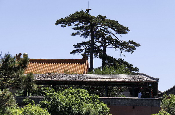 妙峰山景致 摄影 喜庆