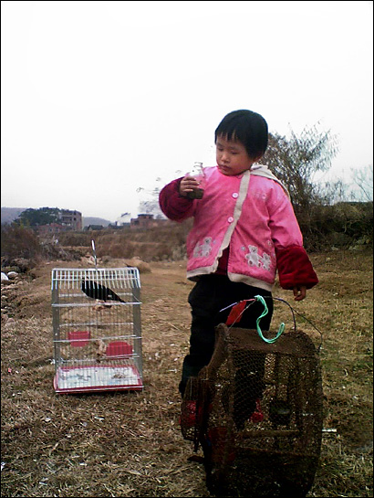 遛鸟图10 摄影 云飞wong