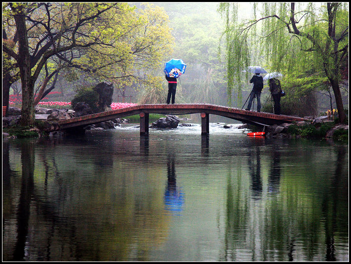 雨中赏景 摄影 广义