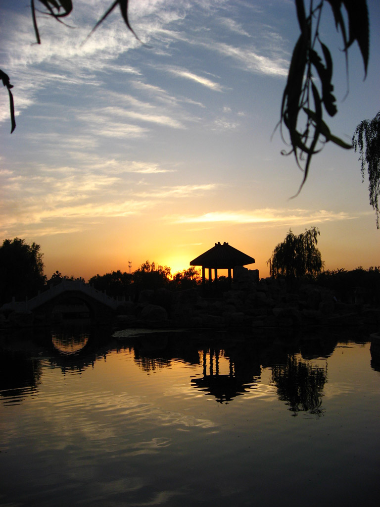 夕阳红 摄影 天飞雁