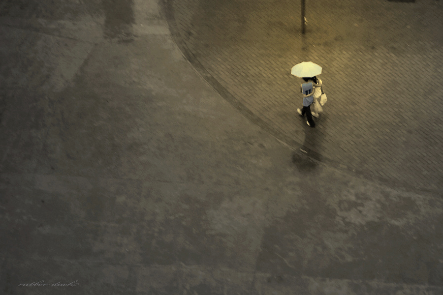 暖雨 摄影 橡皮鸭子