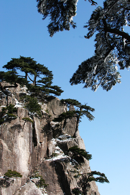 黄山归来不看山 (二十) 摄影 han123456789