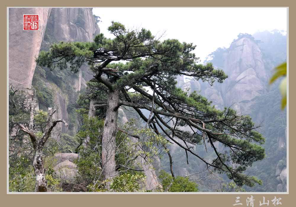 三清山风光（13） 摄影 湖水清清