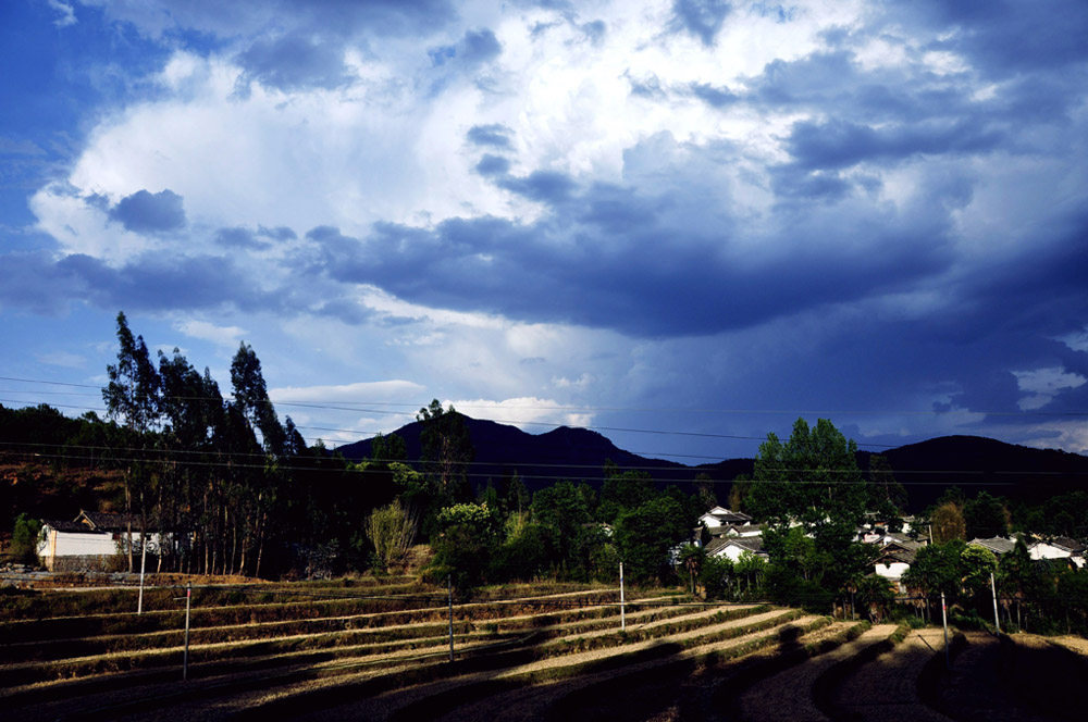 雨前 摄影 芒野