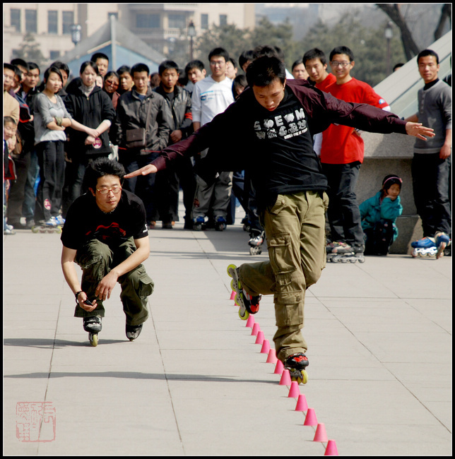 难逃法眼 摄影 zhangxunyong