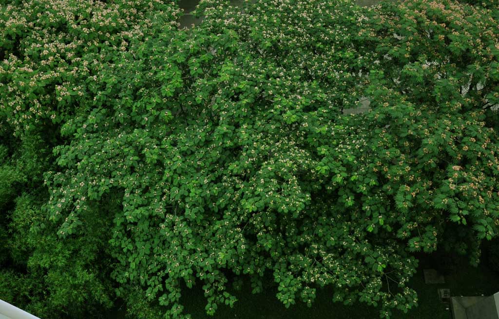 窗下的风景 摄影 阿江