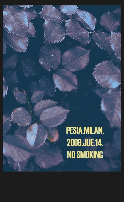 .NO SMOKING之今夜前夕.. 摄影 波斯.米兰.