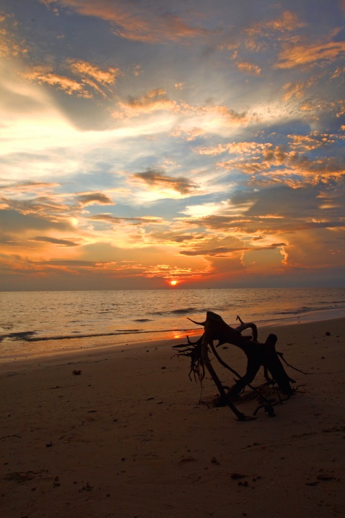 海边夕日 摄影 看风景的风