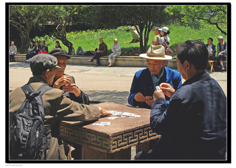 老有所乐 摄影 天鹅舞