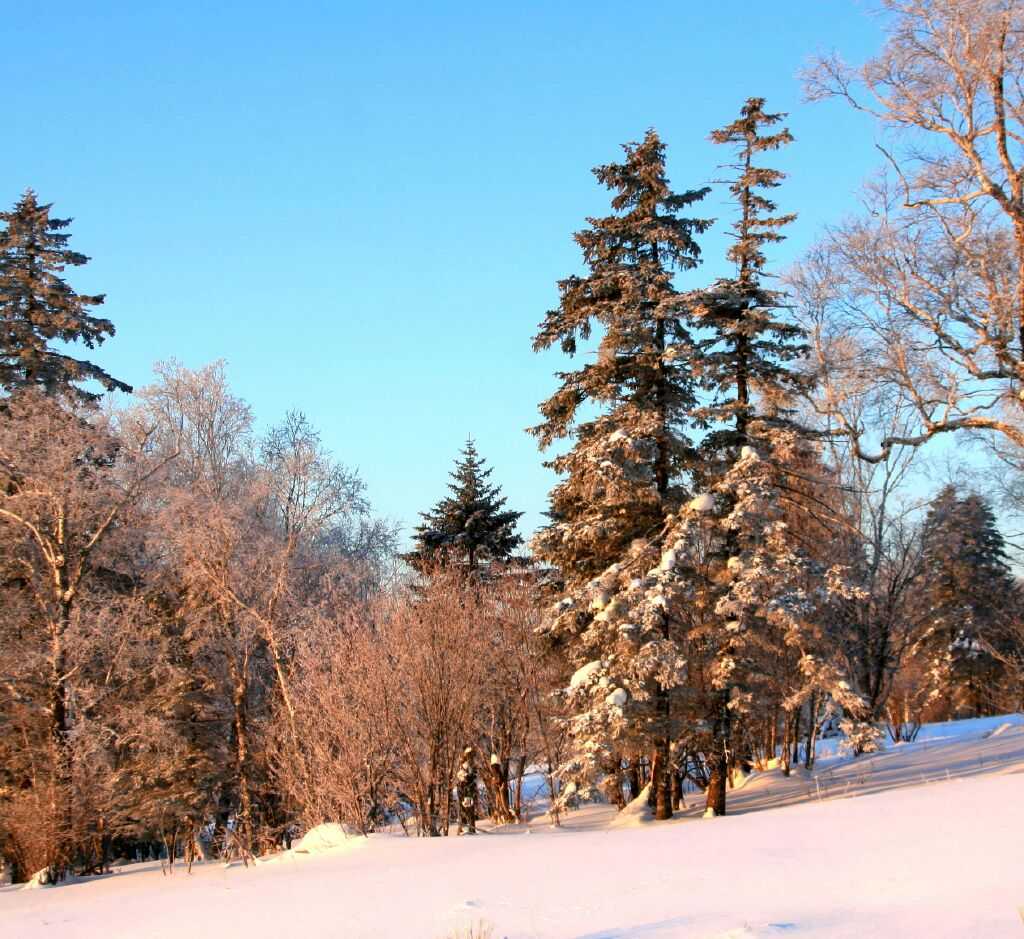 雪之恋 摄影 三人