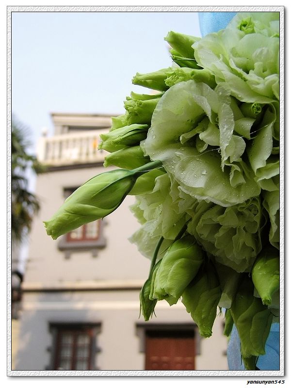 雁荡路的鲜花-2 摄影 闲散的人