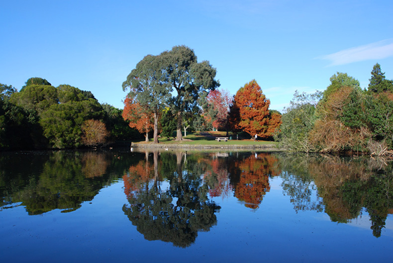 影像从心-Western Springs Park 摄影 MarshallZhi