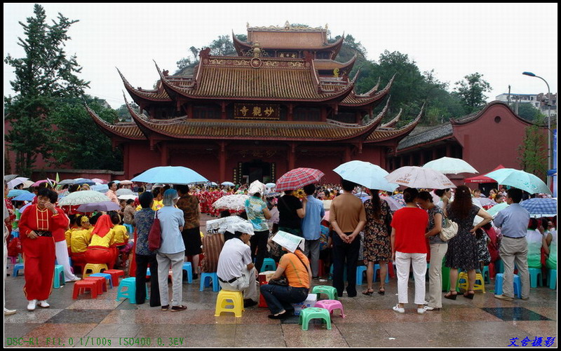 毛毛雨 摄影 艾舍