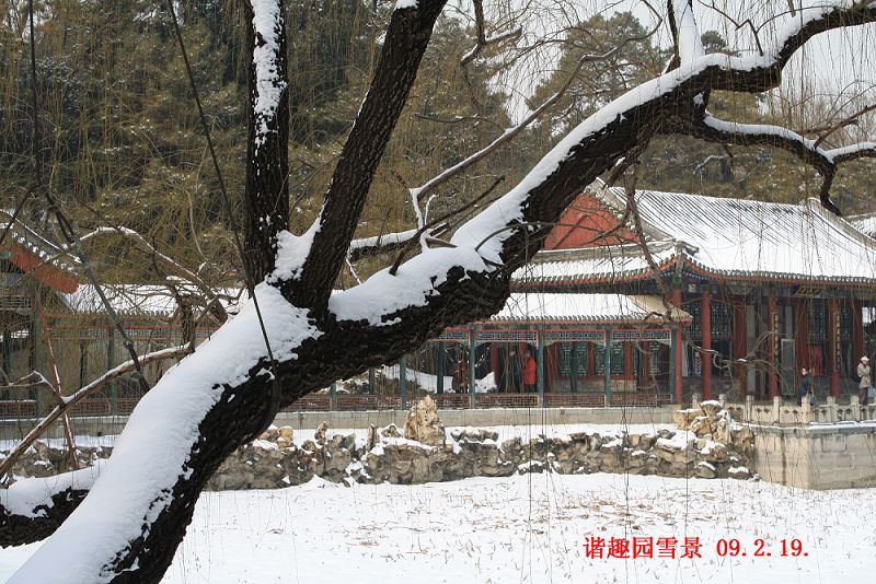 谐趣园雪景 摄影 bjkaola