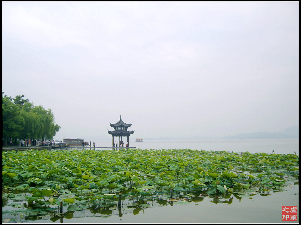 西湖畔 摄影 小欧牌牙签