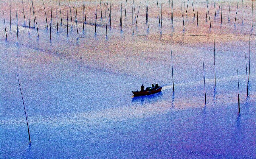 霞浦.印象 摄影 流浪的灰