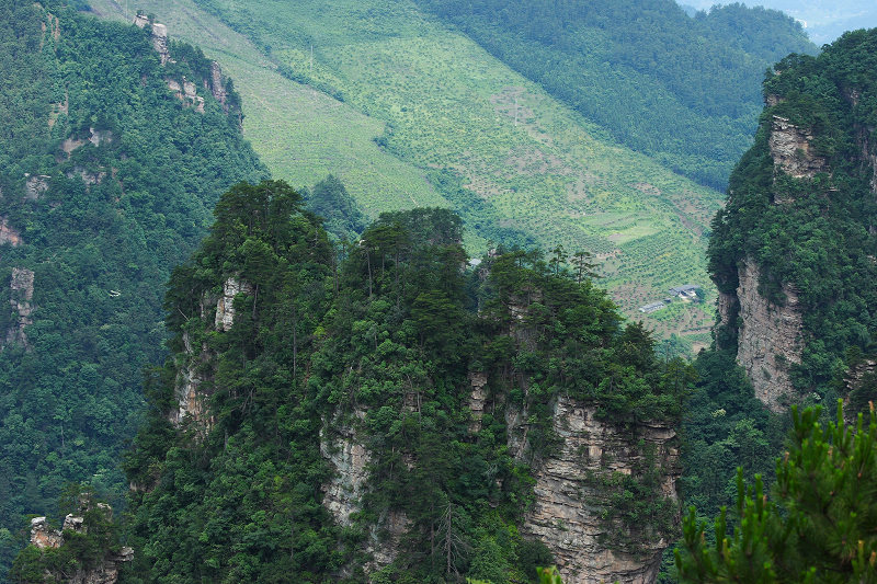 大山深处有人家 摄影 阿南黄