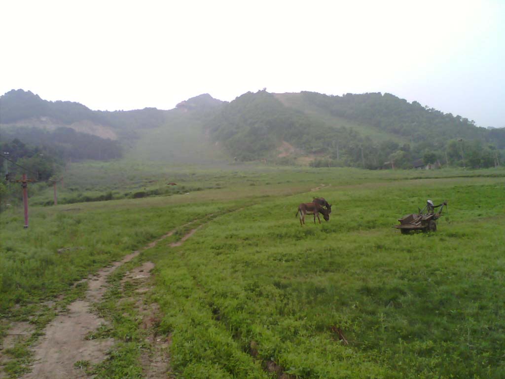 山间小路 摄影 毛坦