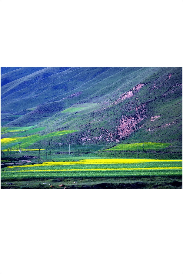 掠过的风景 摄影 越女茶