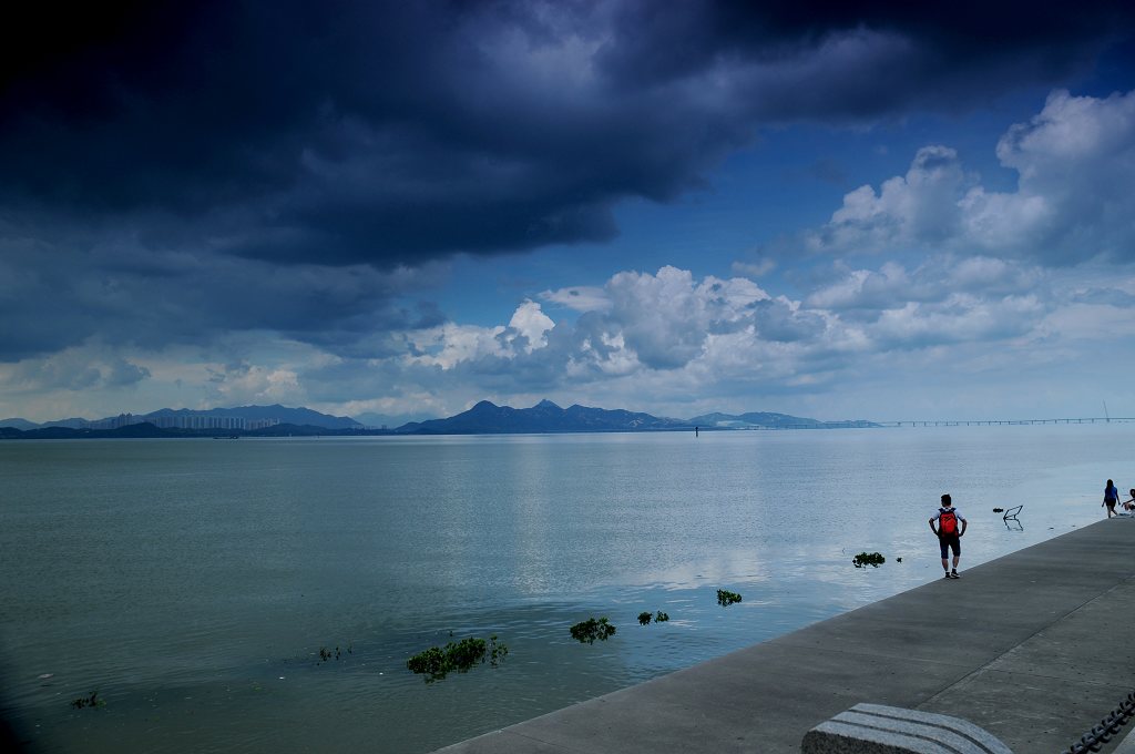 深圳红树林风景 摄影 魔发师