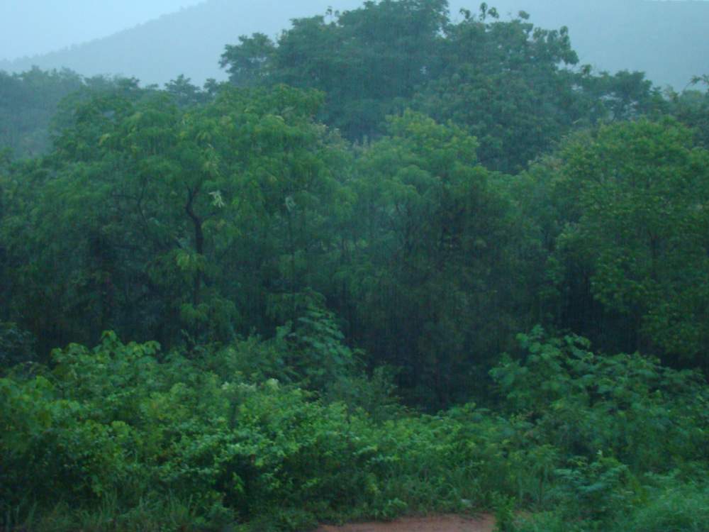 巢父山庄23.夏雨 摄影 A紫气东来