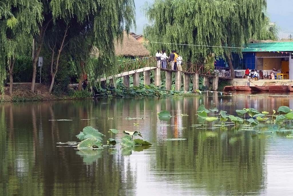 荷塘农家 摄影 摄迷