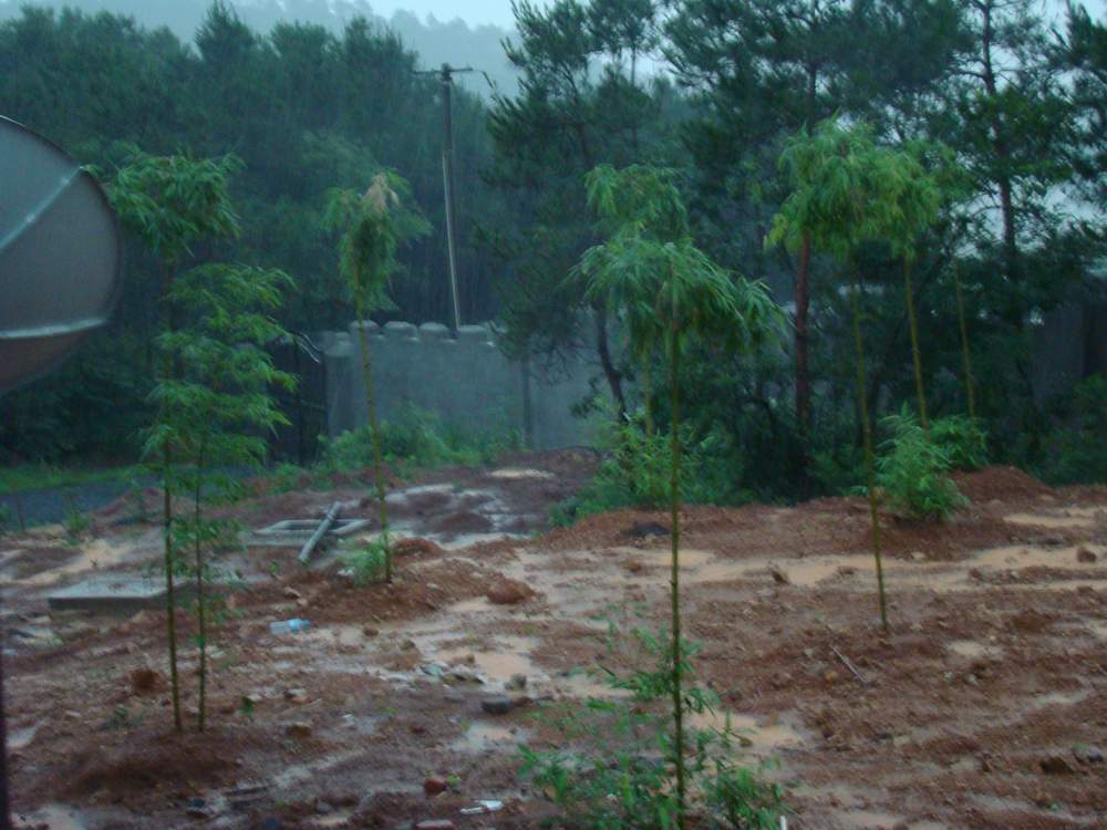 巢父山庄23.夏雨 摄影 A紫气东来