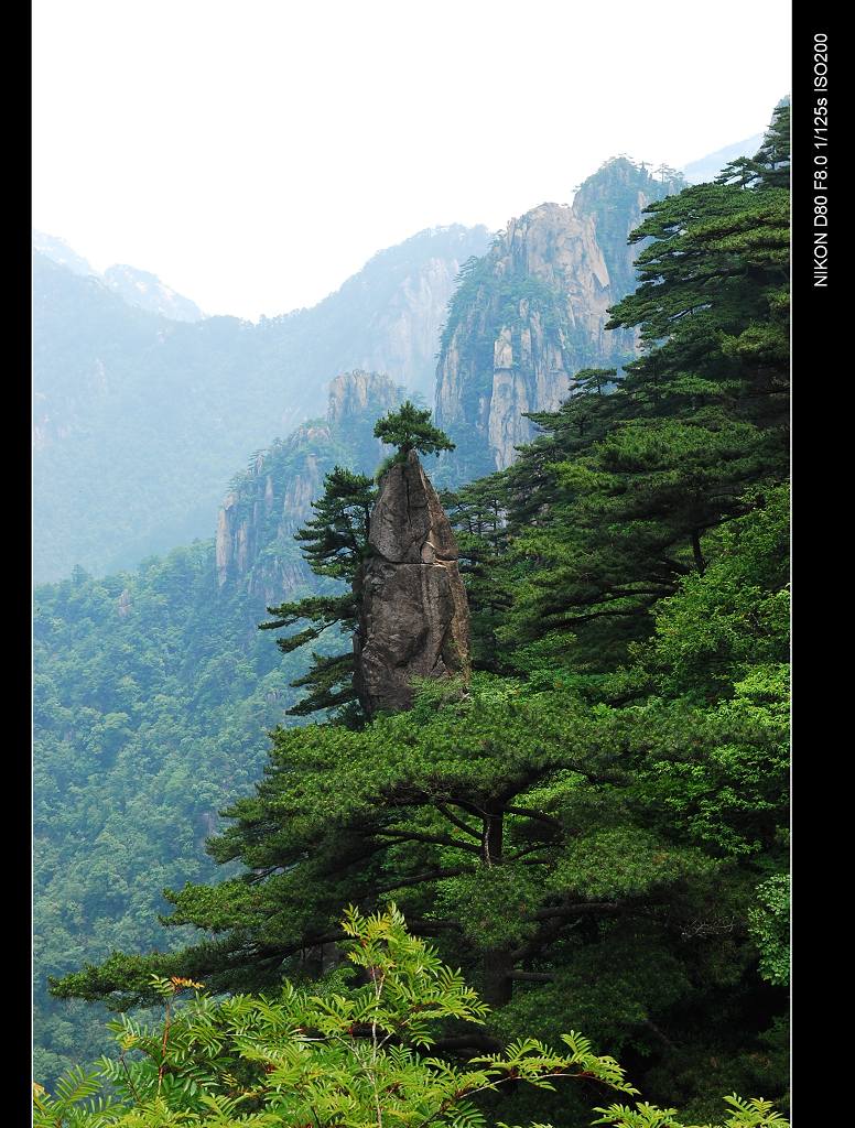 黄山风光 摄影 随心随喜