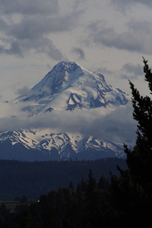 美丽的Oregon4-Mt. Hood(胡德火山） 摄影 小眼聚焦