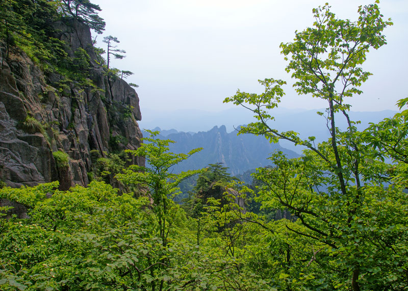 黄山一景 摄影 a1001680