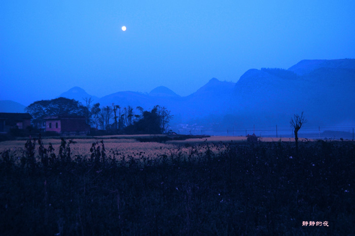 静静的夜 摄影 无晴