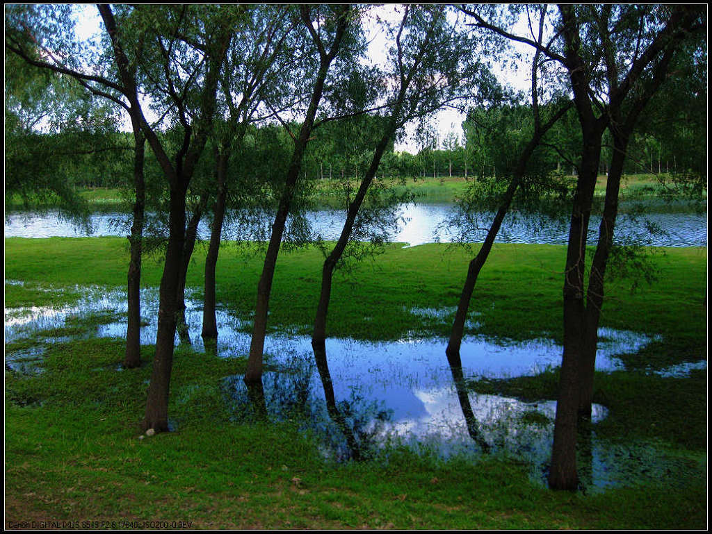 夏日~小景 摄影 紫玮酷