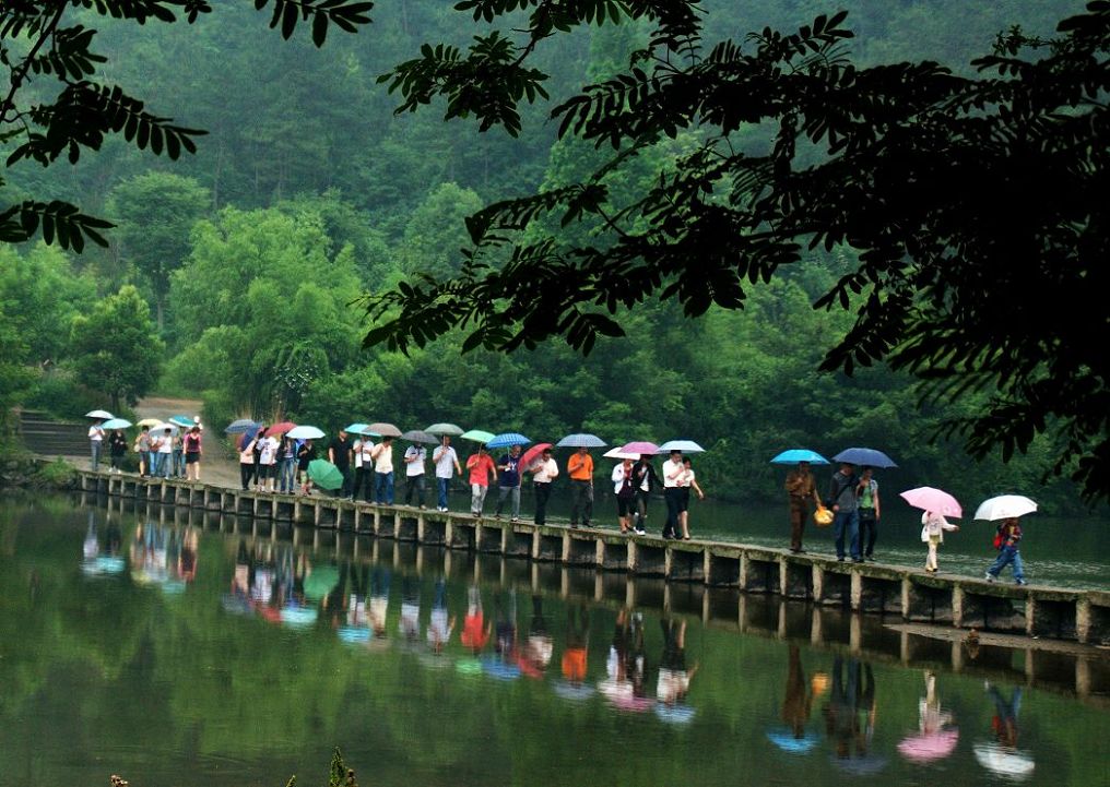 雨中风景线 摄影 丁文道