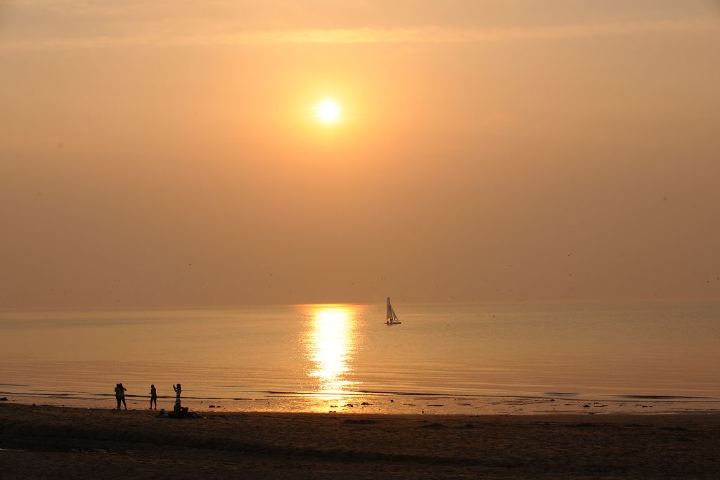 沐浴夕阳 摄影 无欲则刚