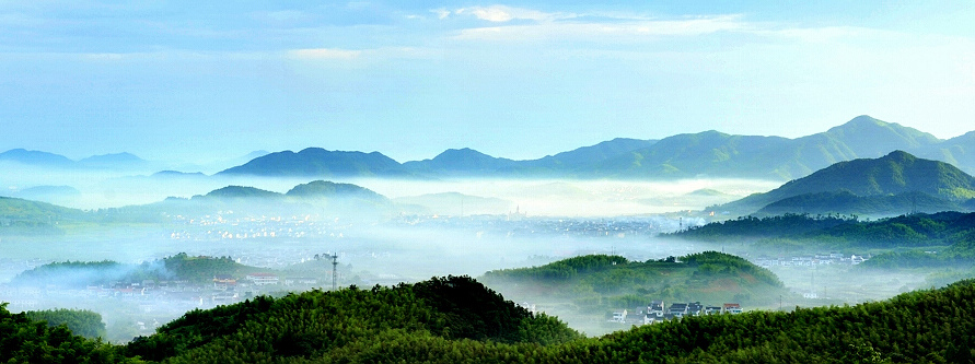 晨之雾 摄影 紫竹常绿