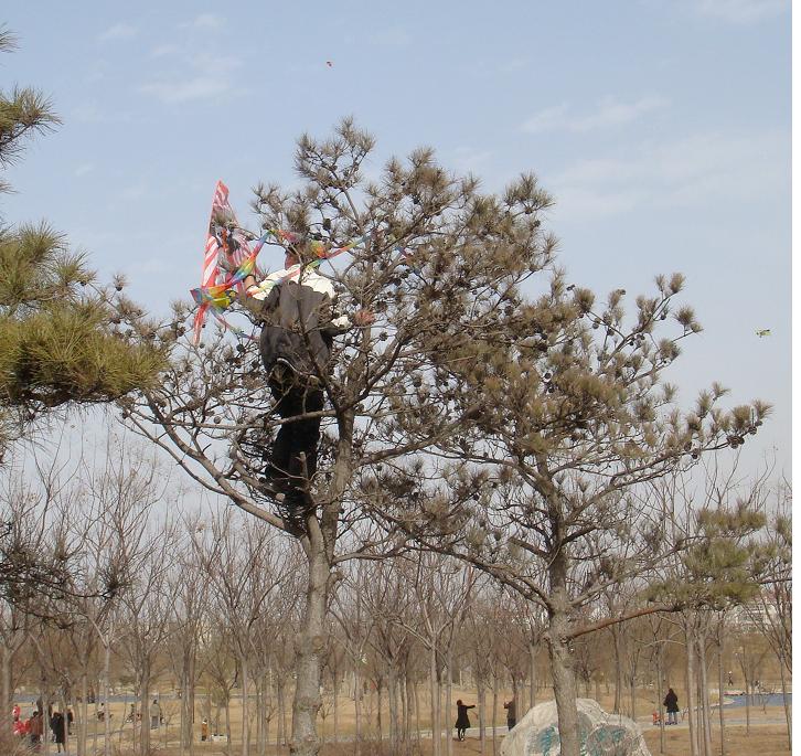 随拍 摄影 涉水寻湖