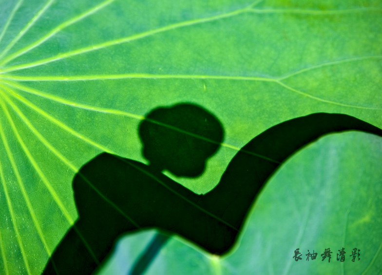 长袖舞清影 摄影 岚水清清