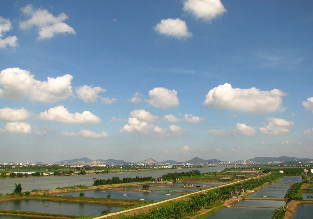 田园风光 摄影 天使之吻