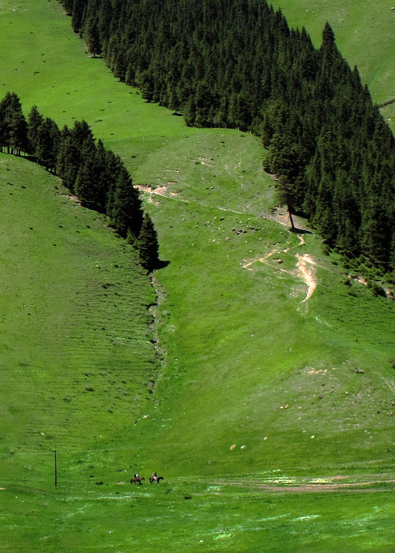 南山牧场 (3) 摄影 zhangym